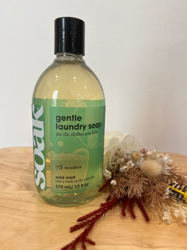 Soak Wash 375ml Wild Mint